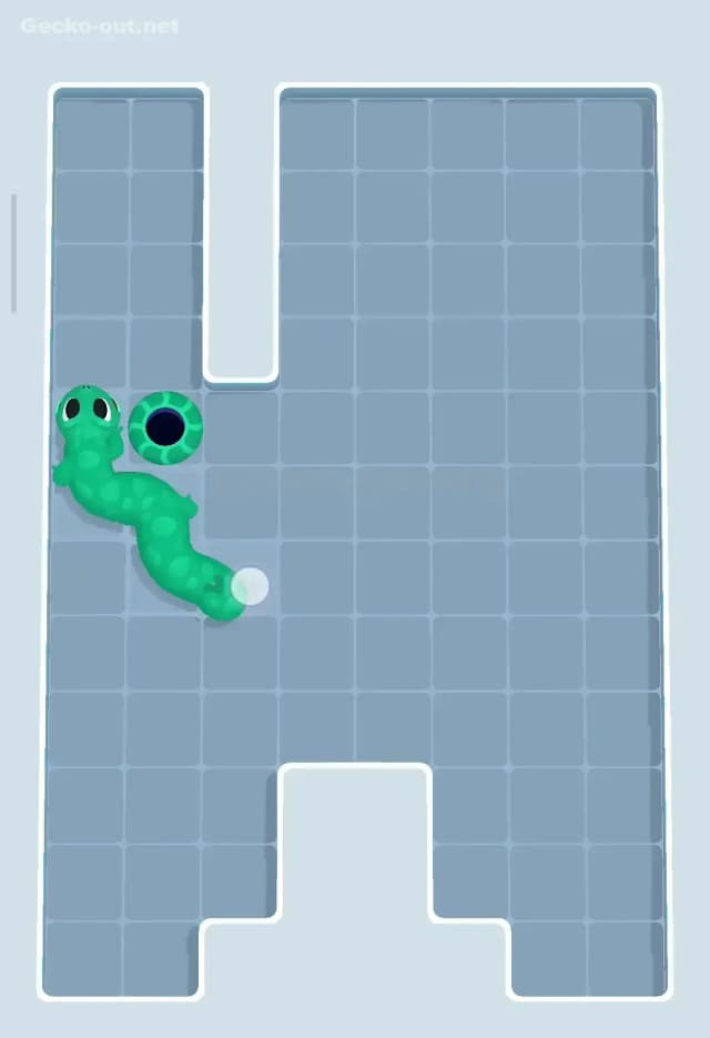 Gecko Out Level 163 Solution 3