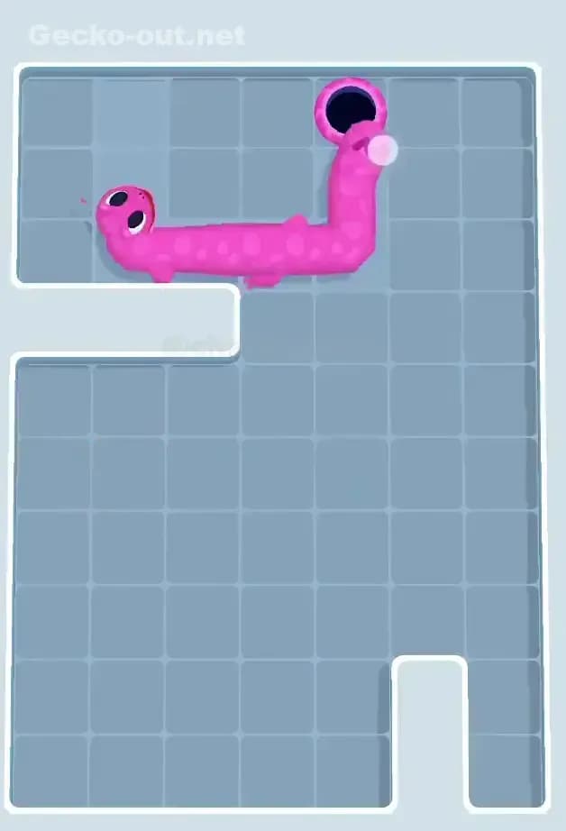 Gecko Out Level 156 Solution 3