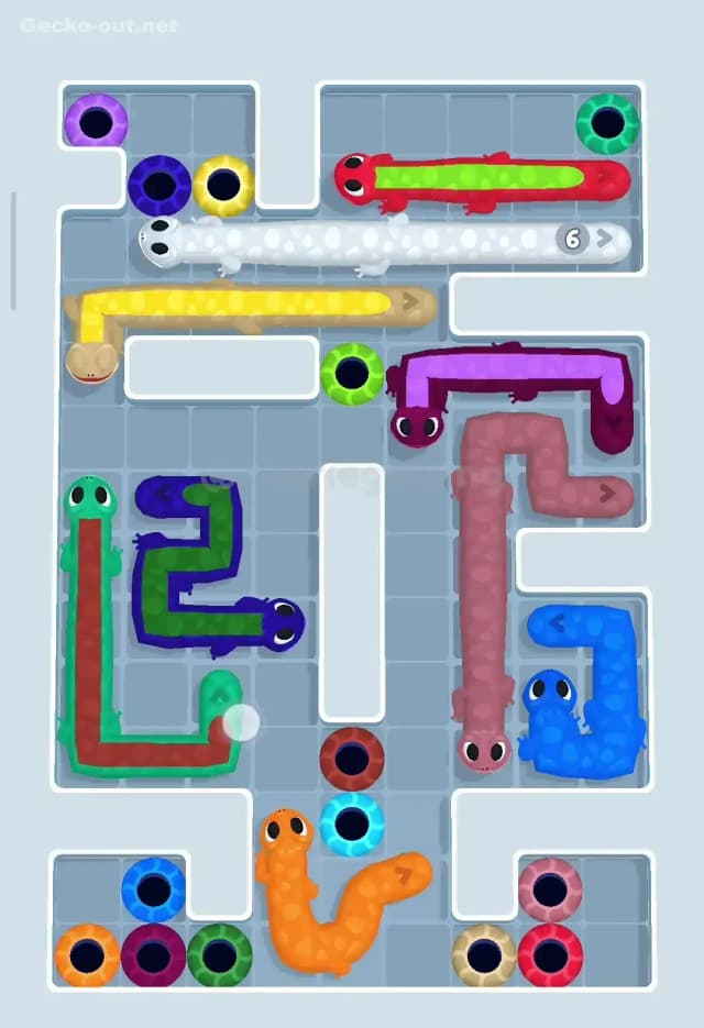 Gecko Out Level 147 Solution 1