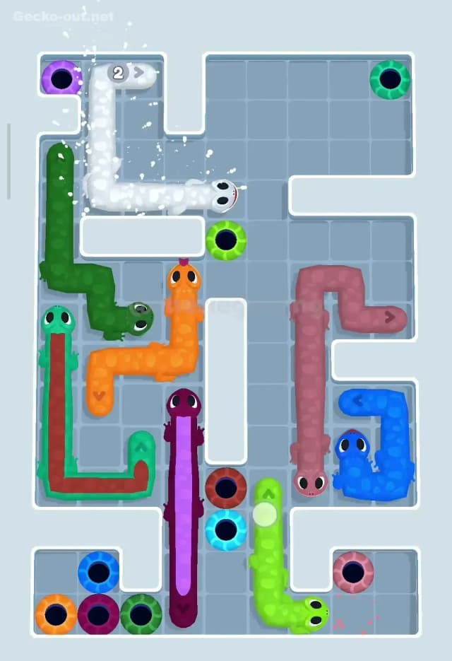 Gecko Out Level 147 Solution 2