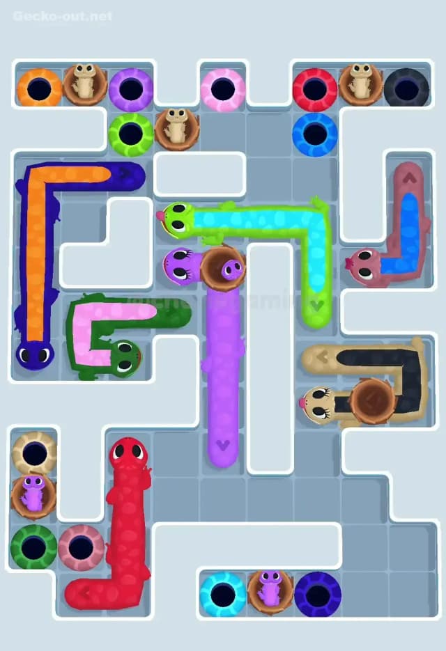 Gecko Out Level 616 Solution 1
