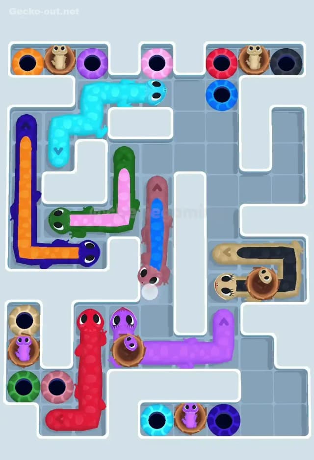 Gecko Out Level 616 Solution 2