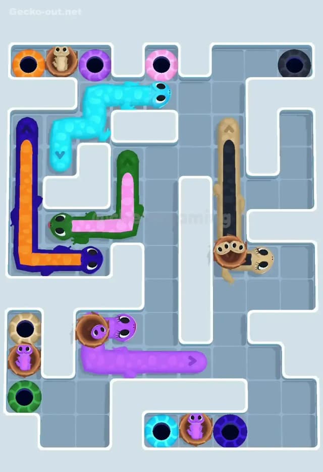Gecko Out Level 616 Solution 3