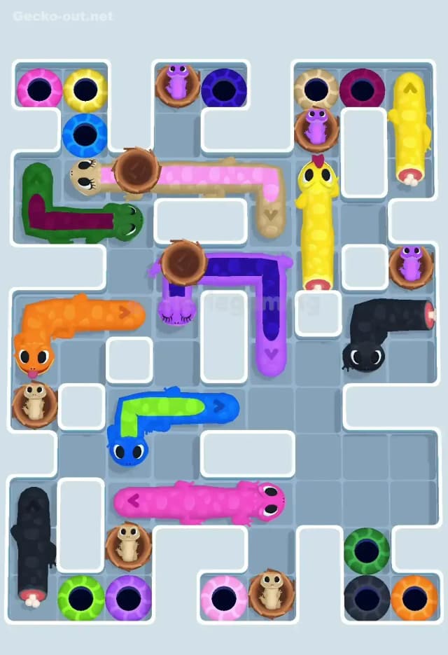 Gecko Out Level 620 Solution 1