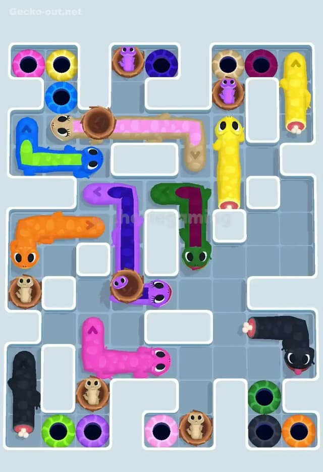 Gecko Out Level 620 Solution 2