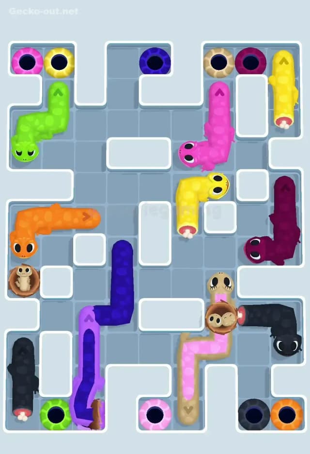 Gecko Out Level 620 Solution 3