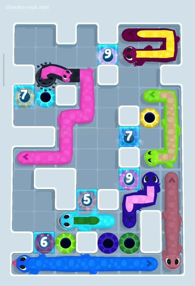 Gecko Out Level 118 Solution 3