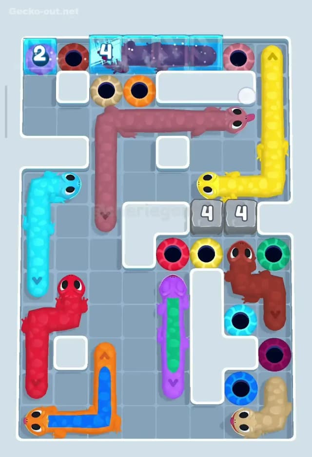 Gecko Out Level 116 Solution 3