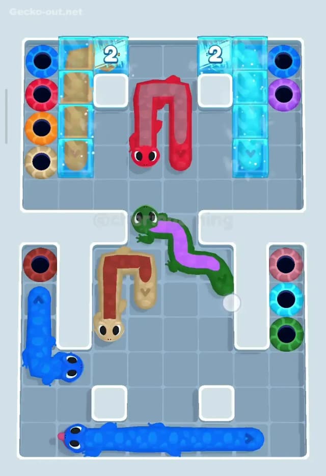 Gecko Out Level 115 Solution 2