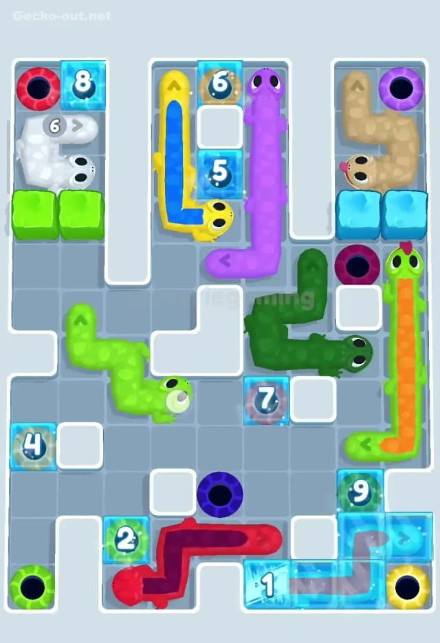 Gecko Out Level 110 Solution 2