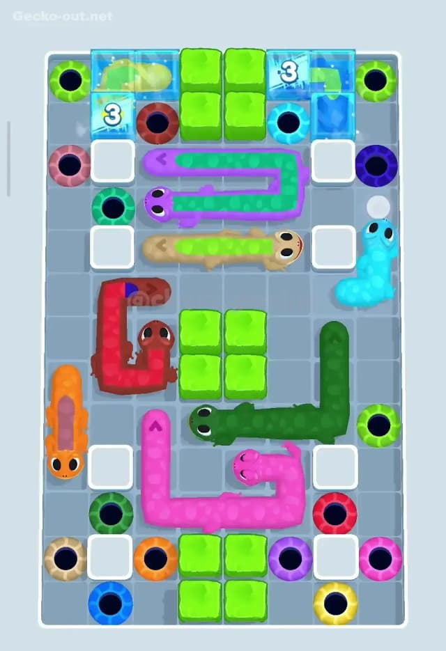 Gecko Out Level 109 Solution 1