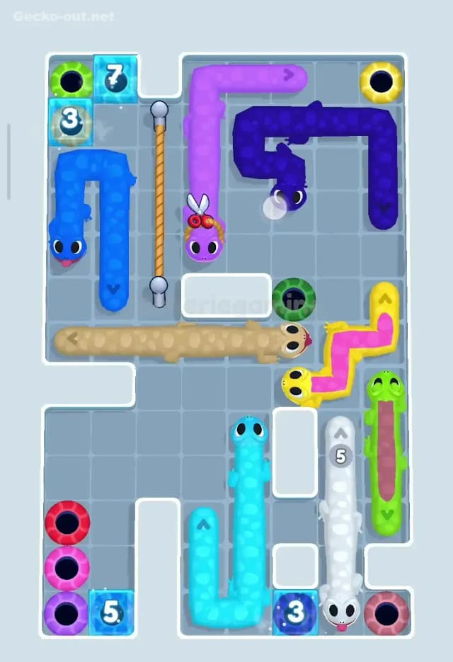 Gecko Out Level 99 Solution 3