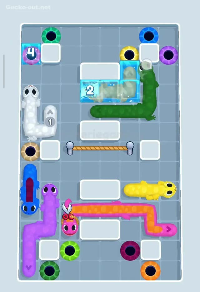 Gecko Out Level 98 Solution 3