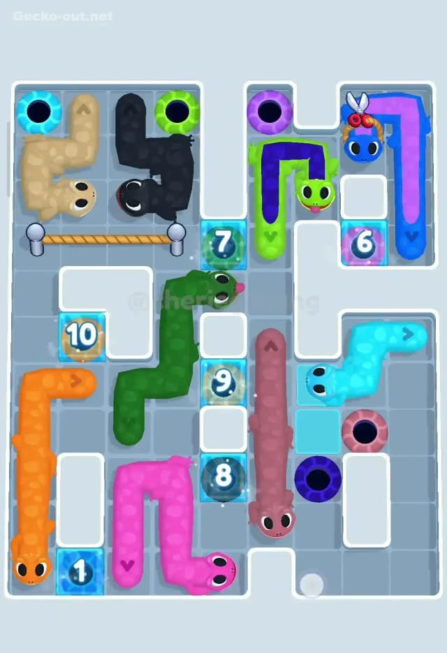 Gecko Out Level 95 Solution 3