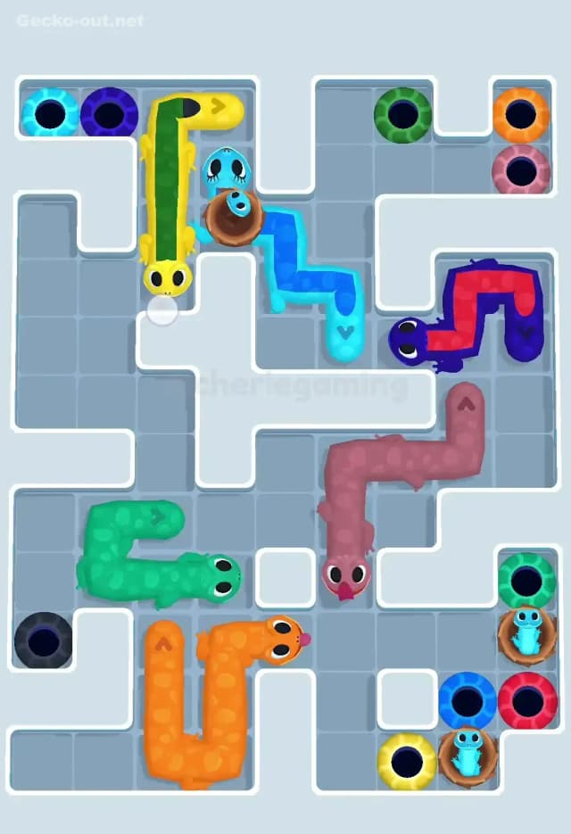 Gecko Out Level 612 Solution 3