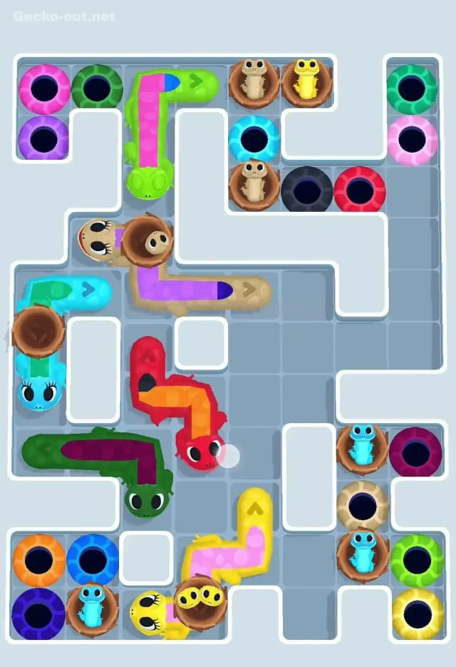 Gecko Out Level 611 Solution 1