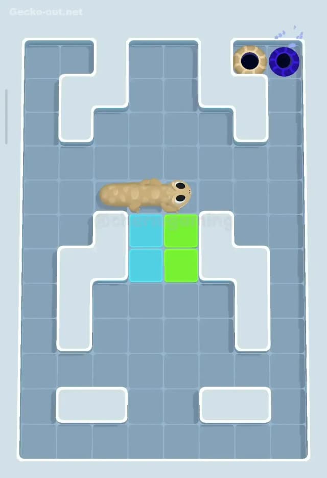 Gecko Out Level 79 Solution 3