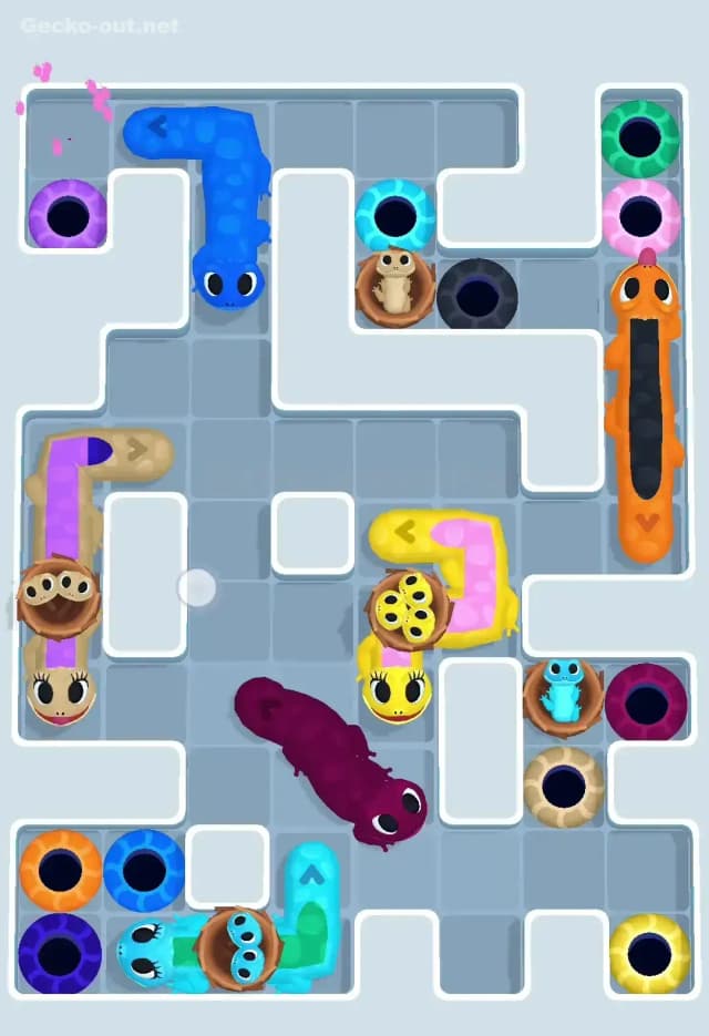 Gecko Out Level 611 Solution 3