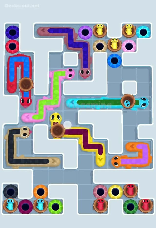 Gecko Out Level 610 Solution 1