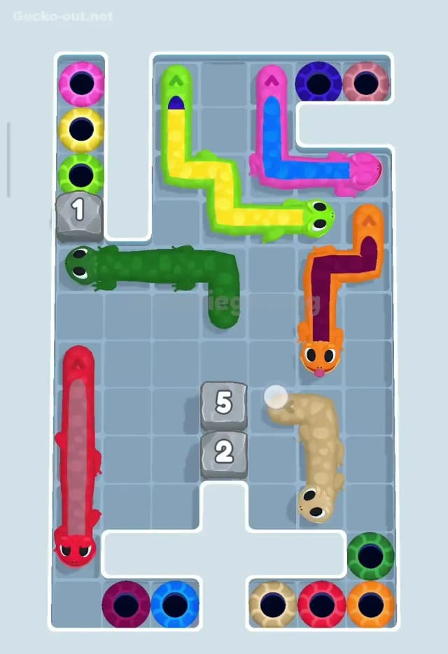 Gecko Out Level 74 Solution 3