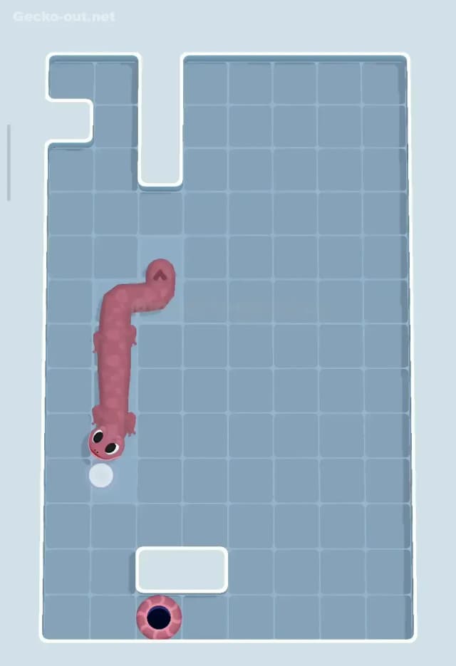 Gecko Out Level 72 Solution 3