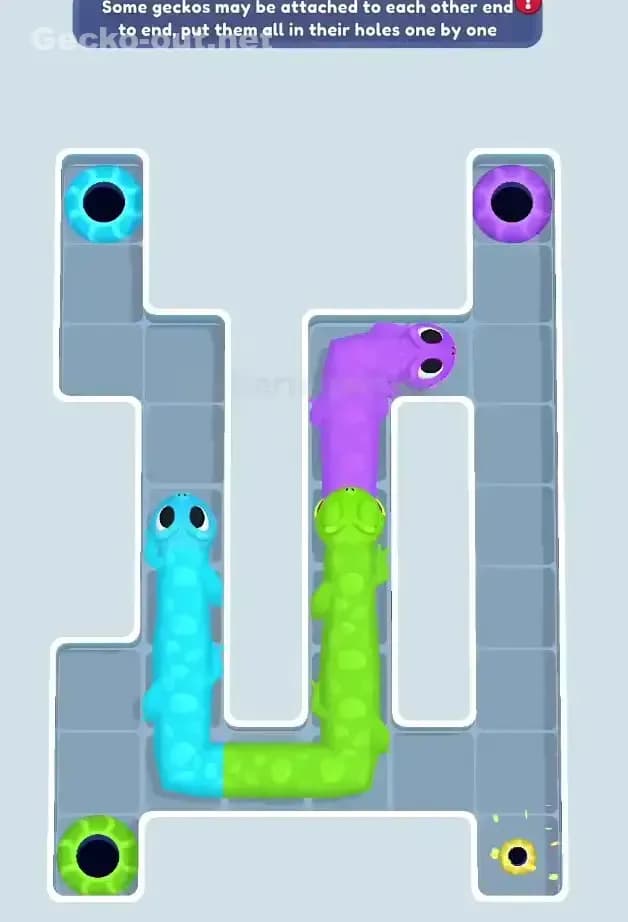 Gecko Out Level 66 Solution 1