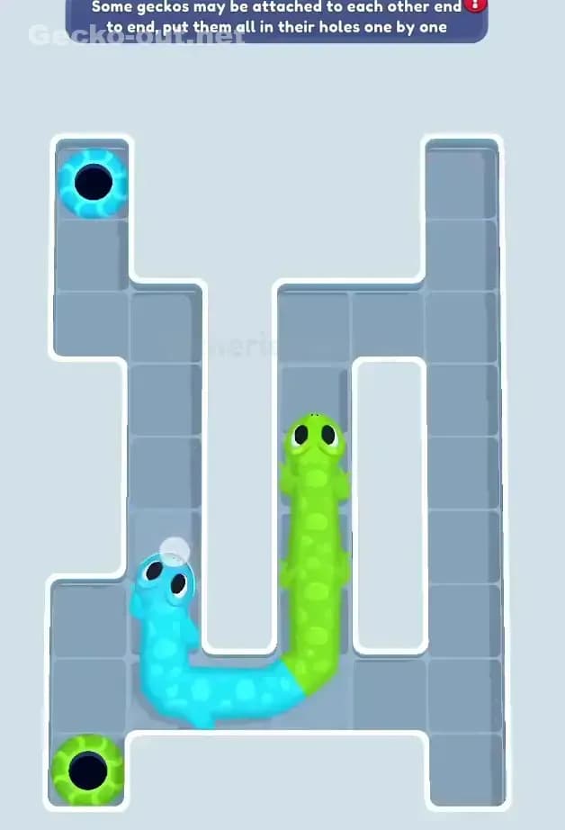 Gecko Out Level 66 Solution 2