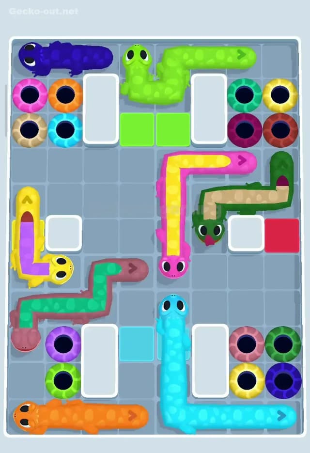 Gecko Out Level 61 Solution 1