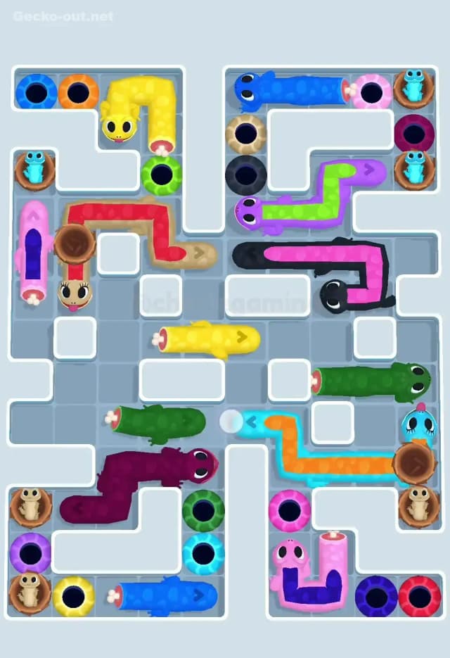 Gecko Out Level 609 Solution 1