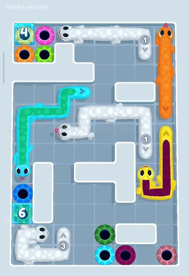 Gecko Out Level 50 Solution 2