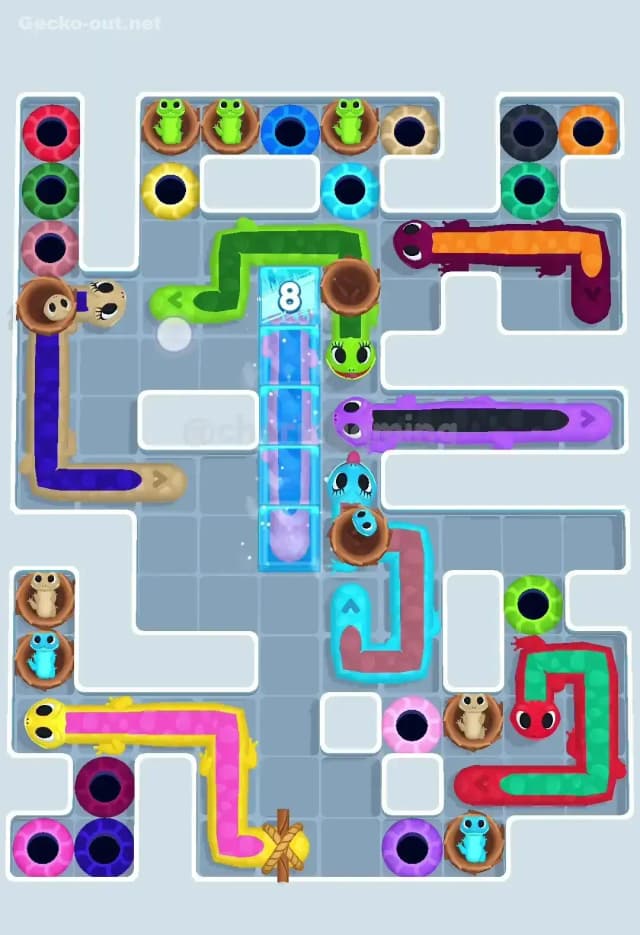 Gecko Out Level 608 Solution 1