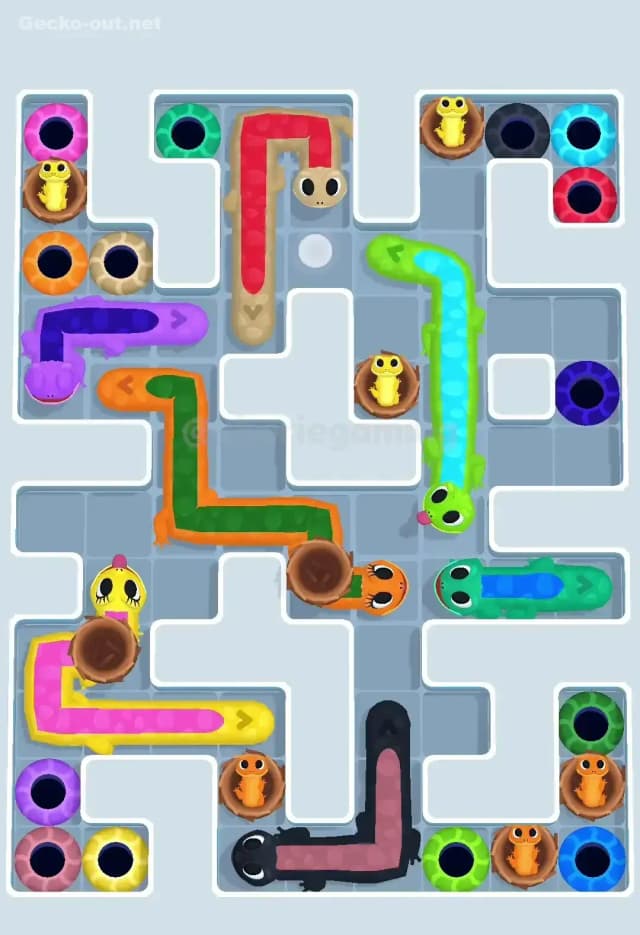 Gecko Out Level 607 Solution 1