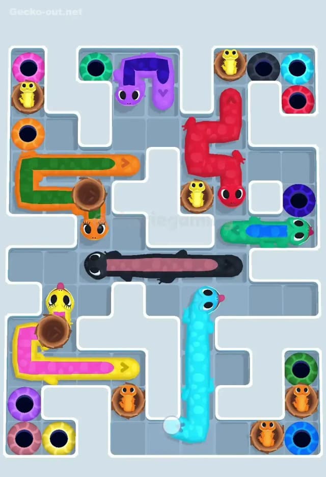 Gecko Out Level 607 Solution 3