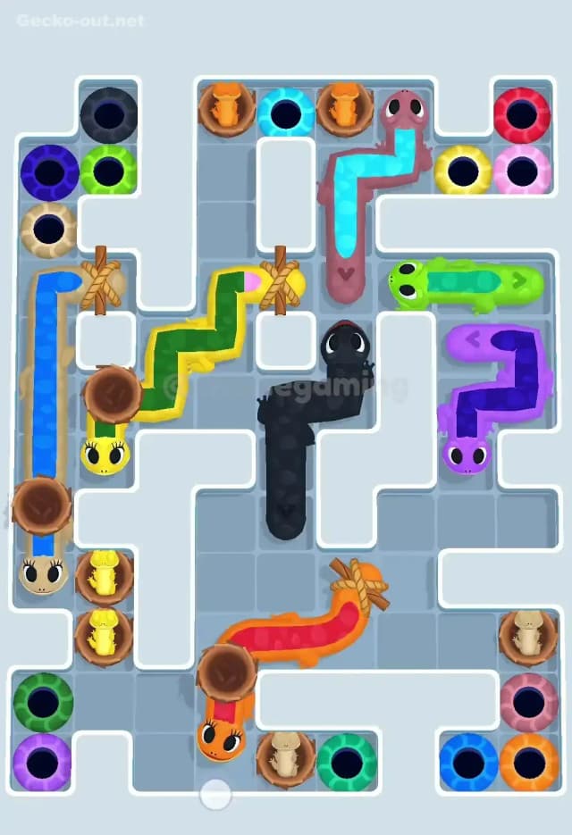 Gecko Out Level 606 Solution 1