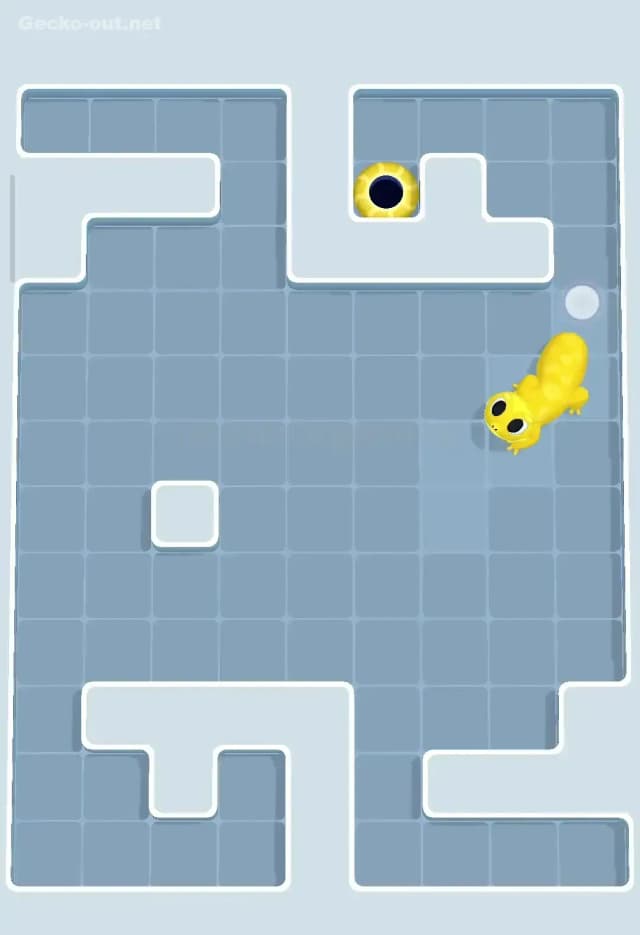 Gecko Out Level 80 Solution 3