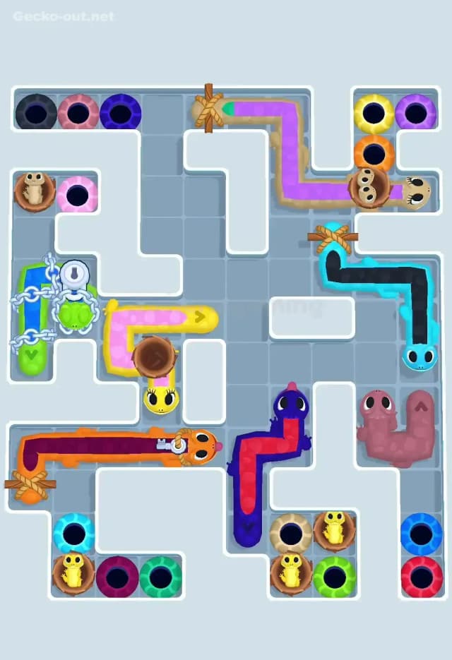 Gecko Out Level 605 Solution 2