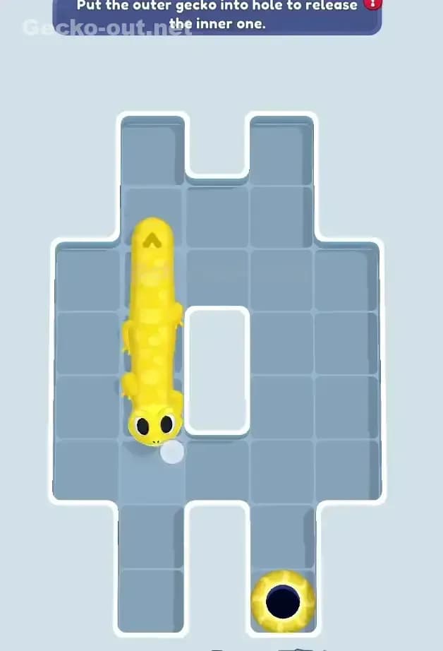 Gecko Out Level 12 Solution 3