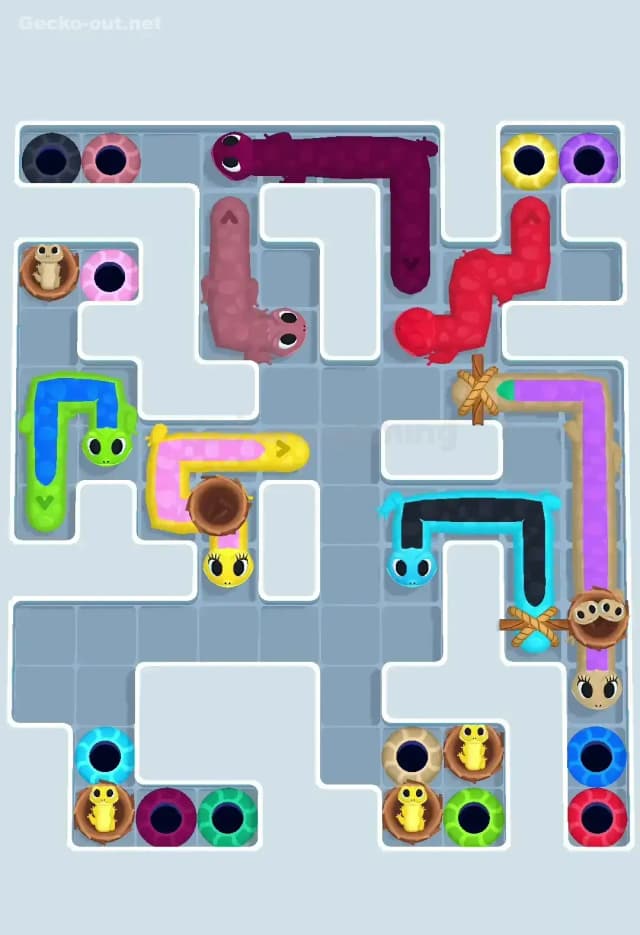 Gecko Out Level 605 Solution 3