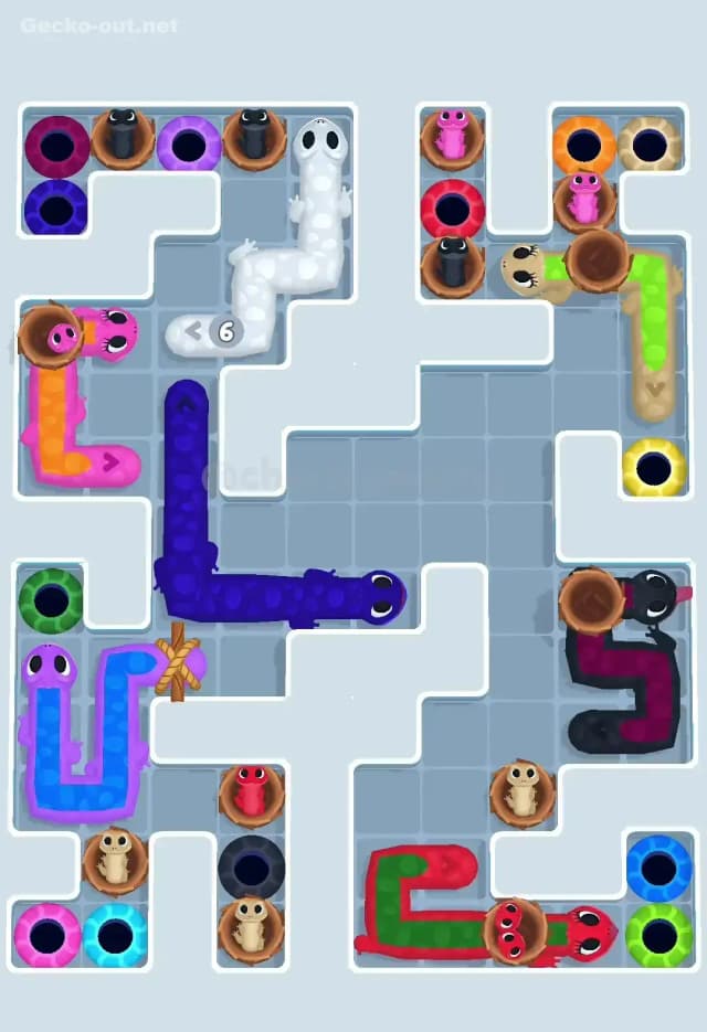 Gecko Out Level 604 Solution 2