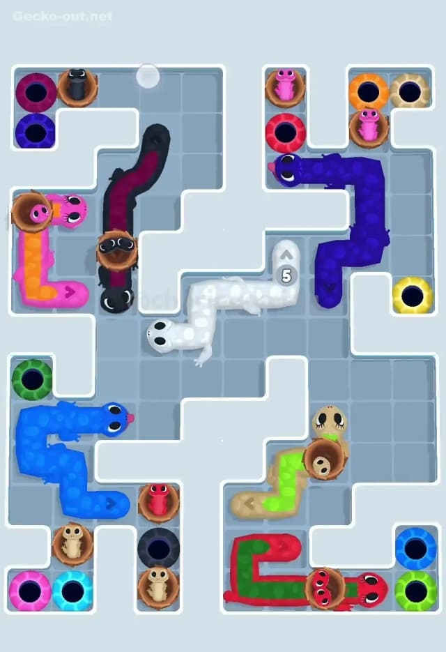 Gecko Out Level 604 Solution 3