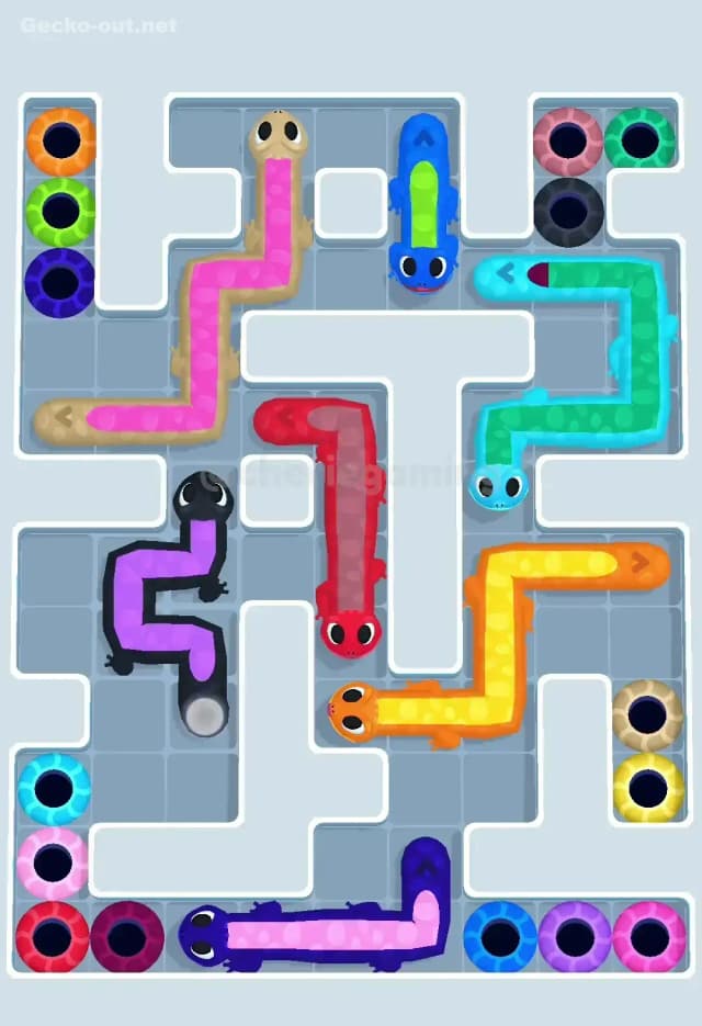 Gecko Out Level 572 Solution 1