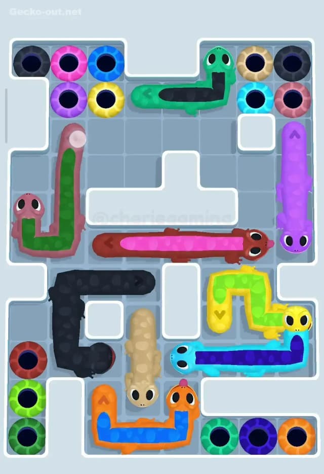 Gecko Out Level 263 Solution 2