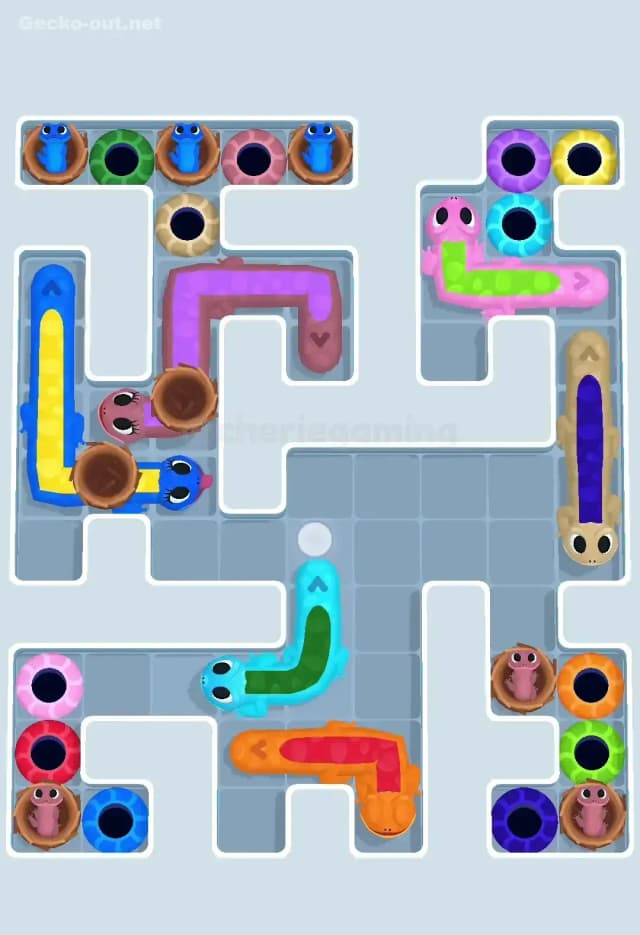 Gecko Out Level 603 Solution 1