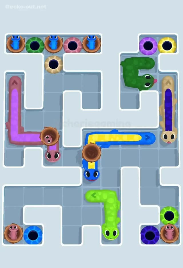 Gecko Out Level 603 Solution 3