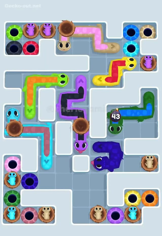 Gecko Out Level 600 Solution 1