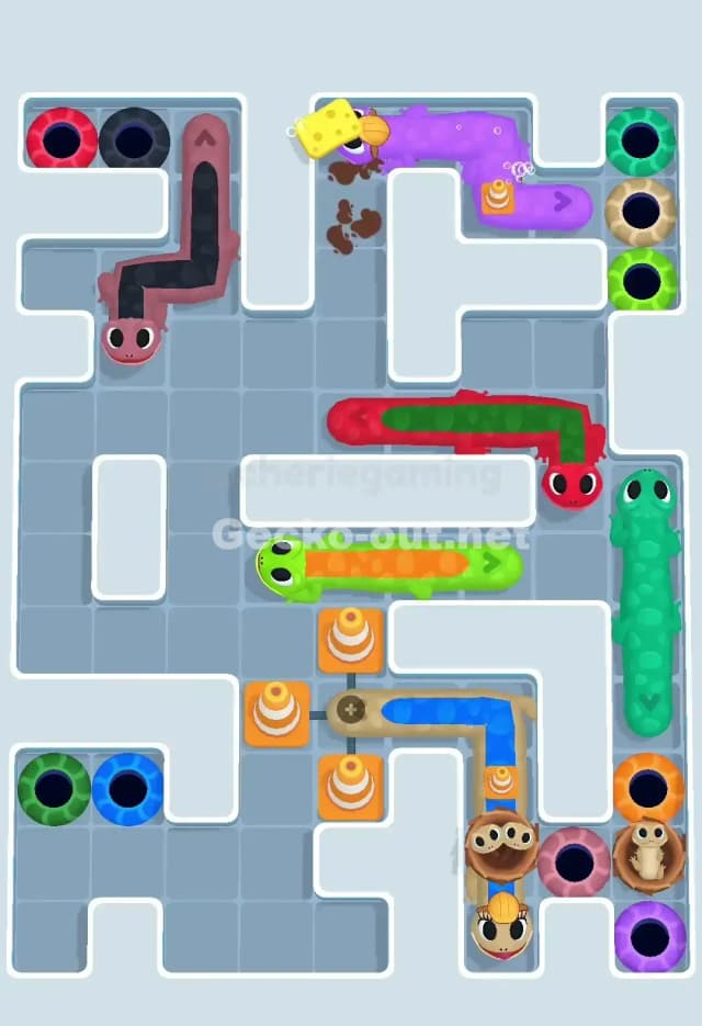 Gecko Out Level 650 Solution 2