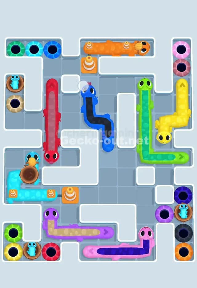 Gecko Out Level 651 Solution 1
