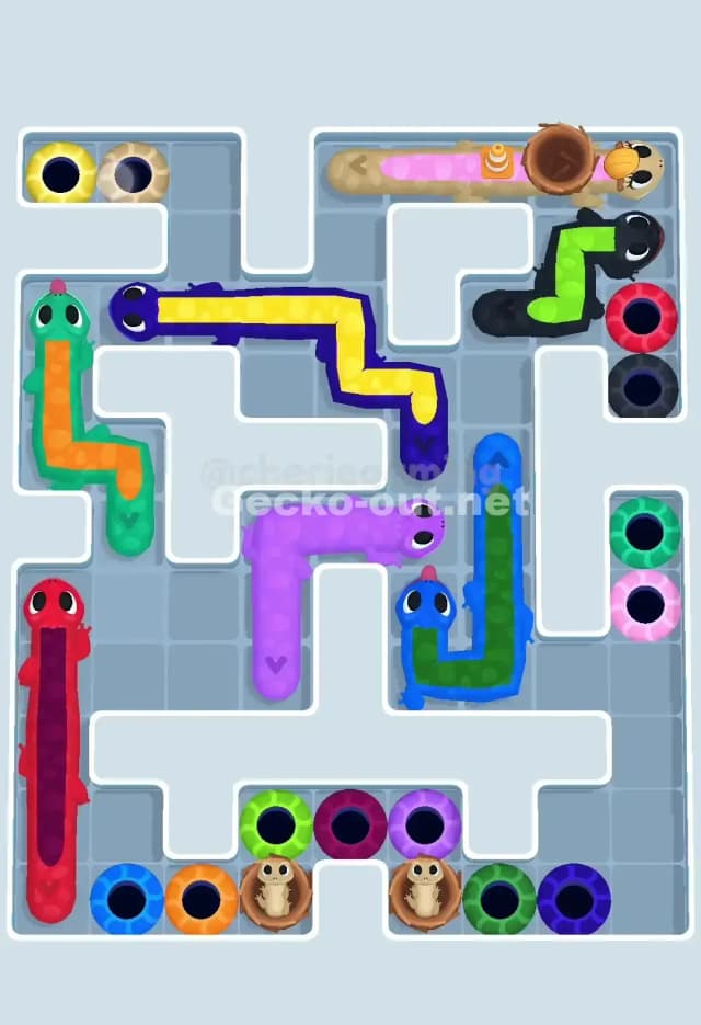 Gecko Out Level 656 Solution 1