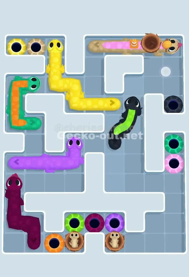 Gecko Out Level 656 Solution 2