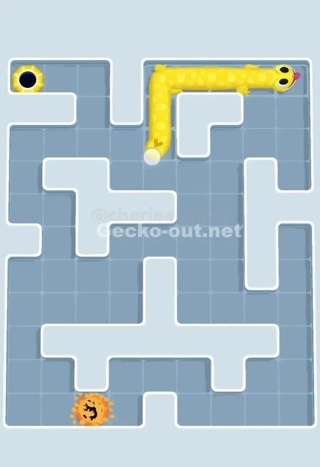 Gecko Out Level 656 Solution 3